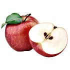 Apfel