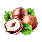 Haselnüsse Haselnüsse