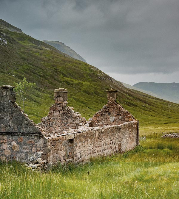 Teaser-irischer-Whisky