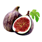 Feigen