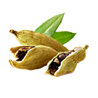 Kardamom