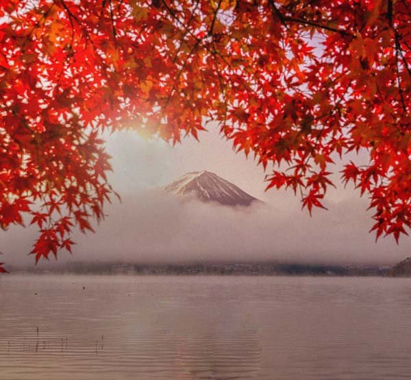 Teaser-Japanischer-Whisky-05